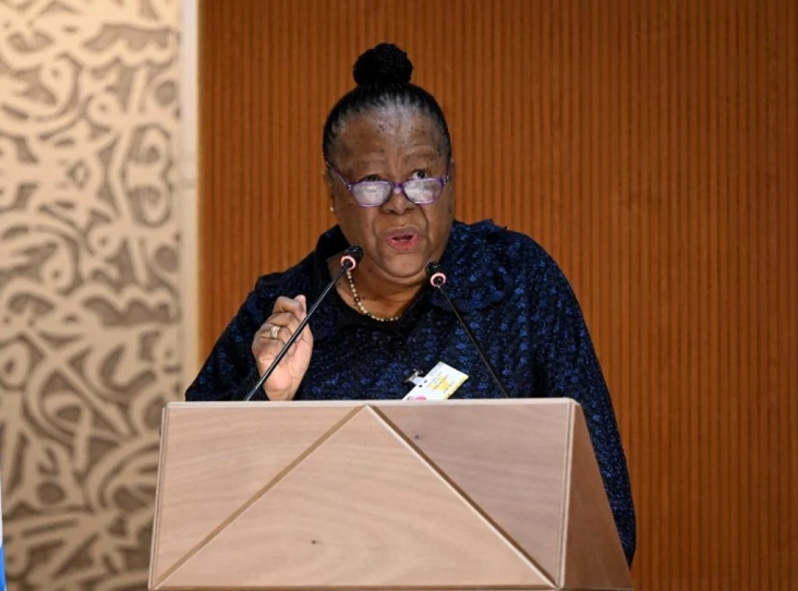 South African Foreign Minister Naledi Pandor